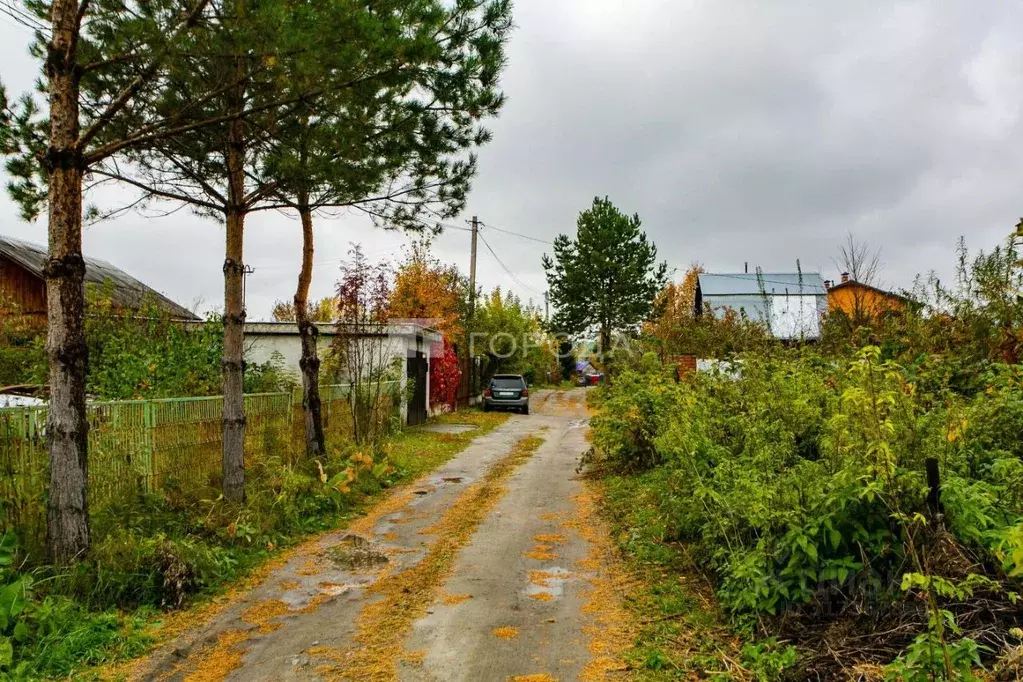 Участок в Новосибирская область, Новосибирский район, Кудряшовский ... - Фото 1