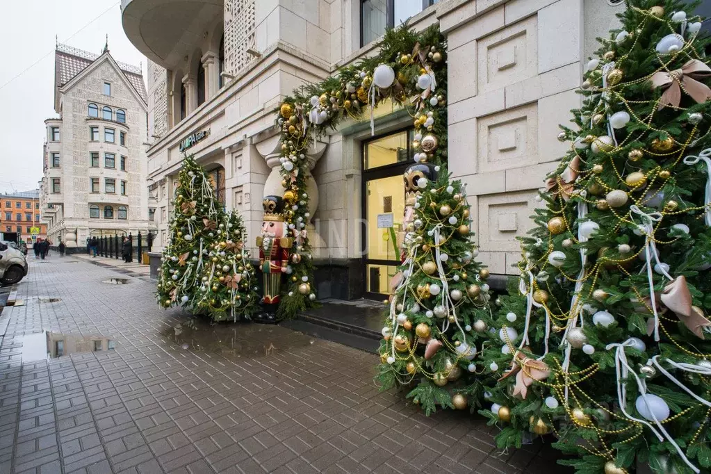 Помещение свободного назначения в Санкт-Петербург пер. Басков, 2 (172 ... - Фото 1