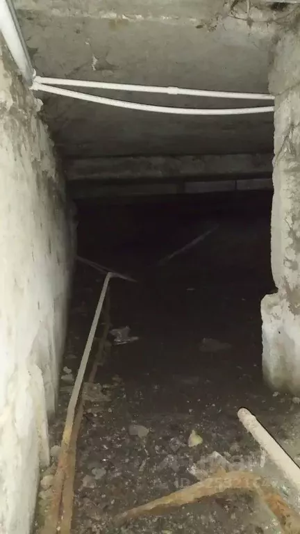 Помещение свободного назначения в Челябинская область, Златоуст просп. ... - Фото 2