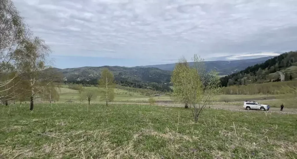 Участок в Алтай, Чемальский район, Элекмонарское с/пос  (23.9 сот.) - Фото 1