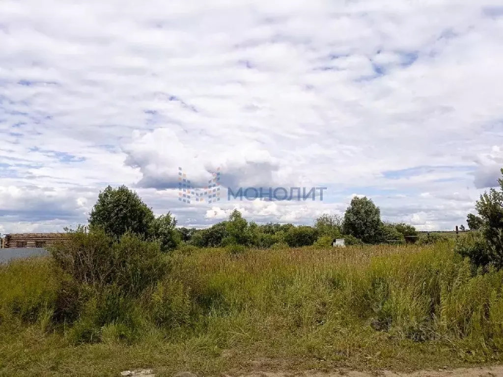 Участок в Нижегородская область, Богородский муниципальный округ, с. ... - Фото 2