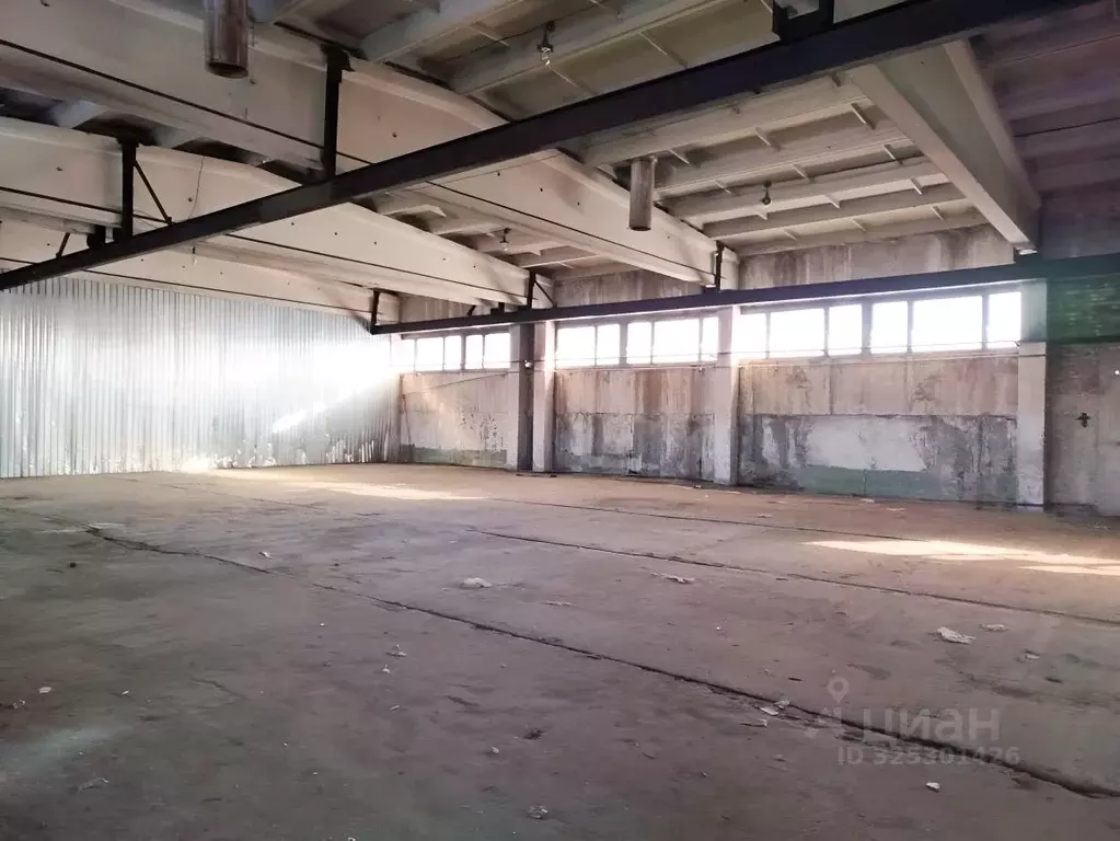 Склад в Новосибирская область, Новосибирск ул. Петухова, 79/2 (1300 м) - Фото 2