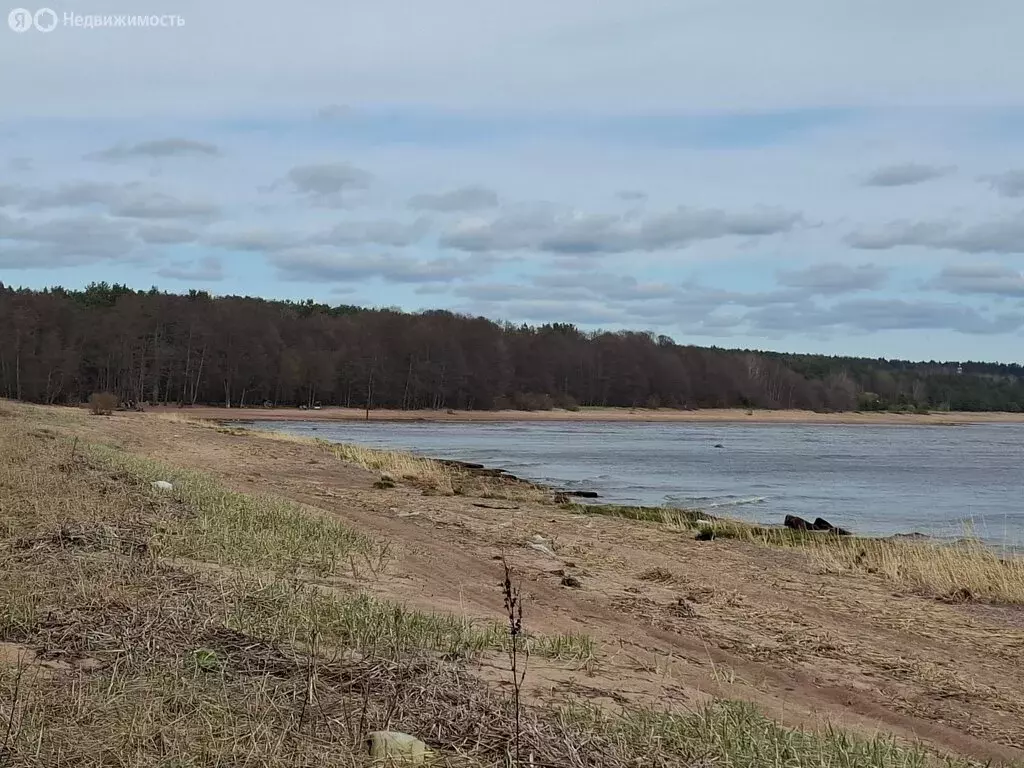 Участок в Выборгский район, Полянское сельское поселение, посёлок при ... - Фото 2
