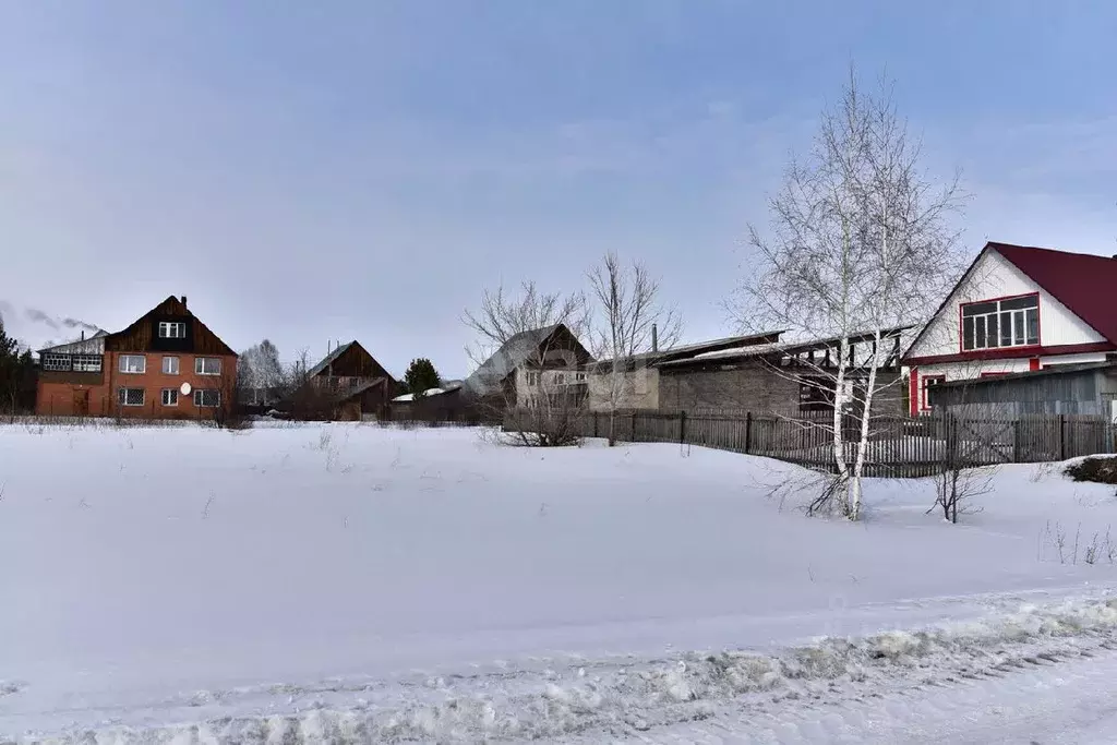 Участок в Алтайский край, Бийский район, с. Малоенисейское ул. ... - Фото 1