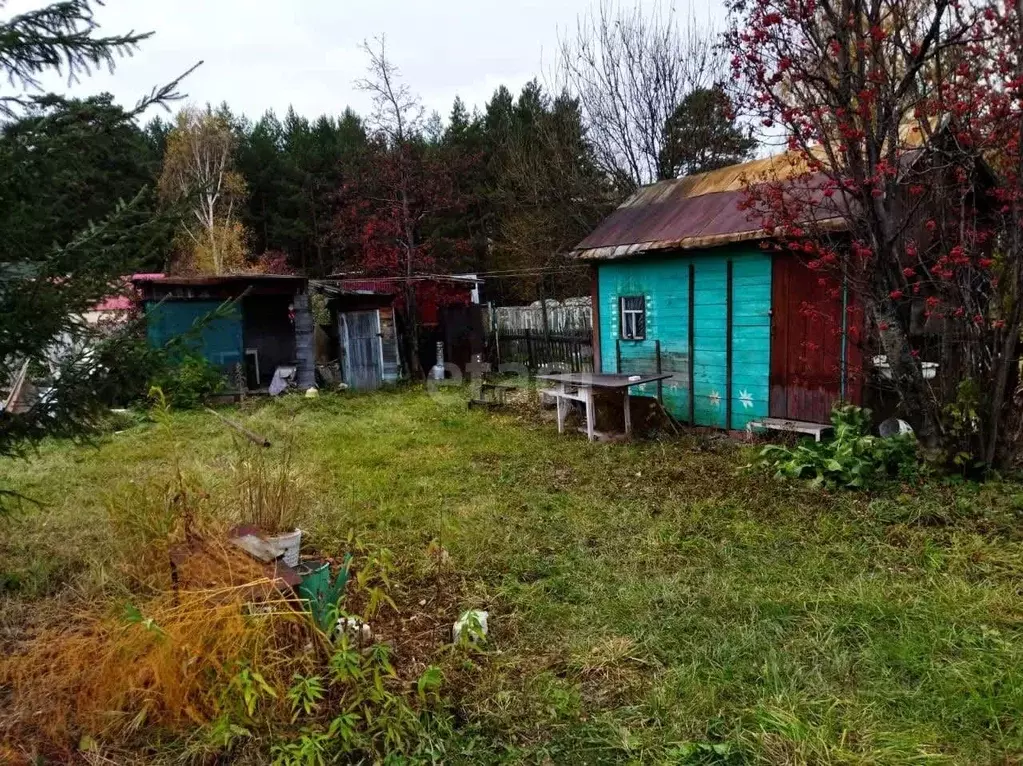 Дом в Новосибирская область, Новосибирск Диксон садовое товарищество,  ... - Фото 1