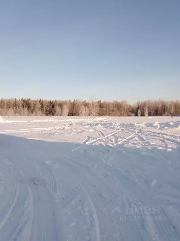 Участок в Московская область, Солнечногорск городской округ, ... - Фото 1
