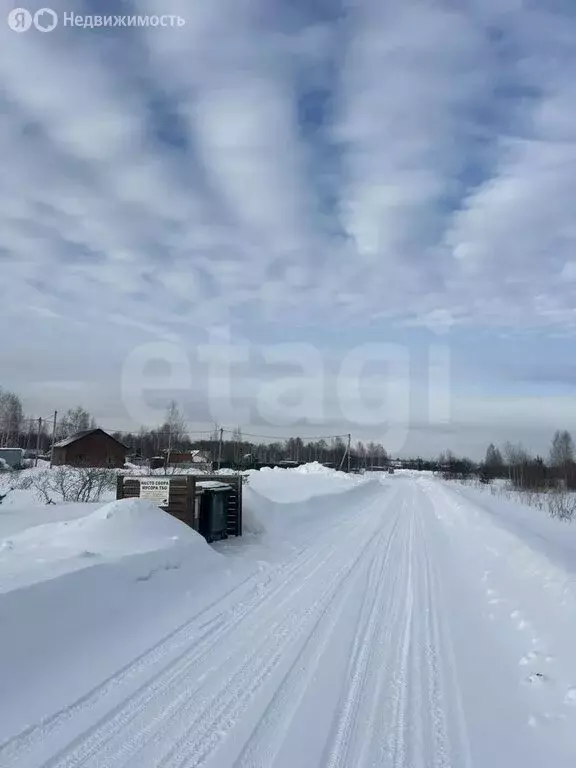 Участок в Новосибирская область, Коченёвский муниципальный район, СНТ ... - Фото 2