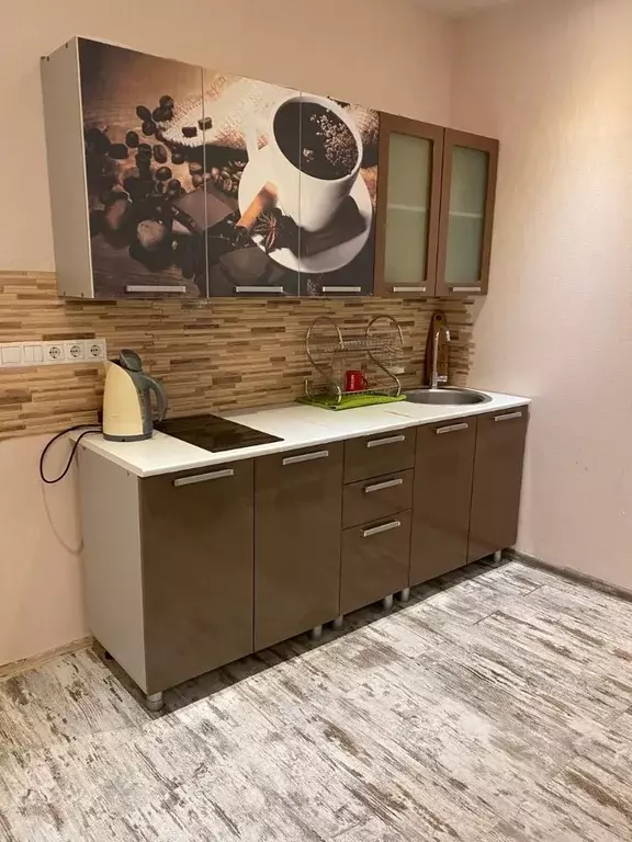 1-к кв. Московская область, Балашиха городской округ, д. Павлино 69 ... - Фото 0