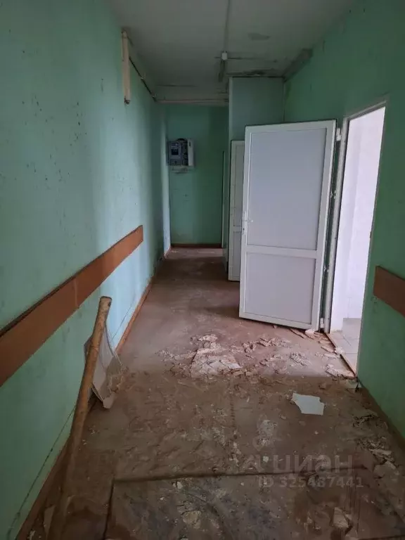 Помещение свободного назначения в Московская область, Подольск ул. ... - Фото 1