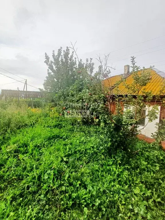 Дом в Кемеровская область, Гурьевск ул. Иванова, 43 (46 м) - Фото 2