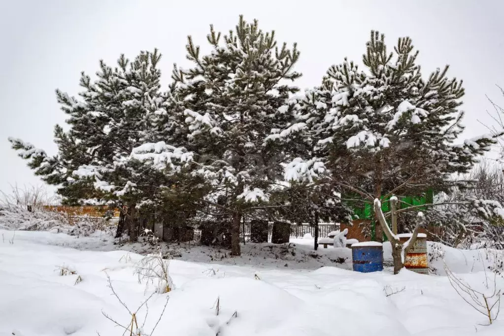 Участок в Кемеровская область, Новокузнецкий муниципальный округ, с. ... - Фото 2