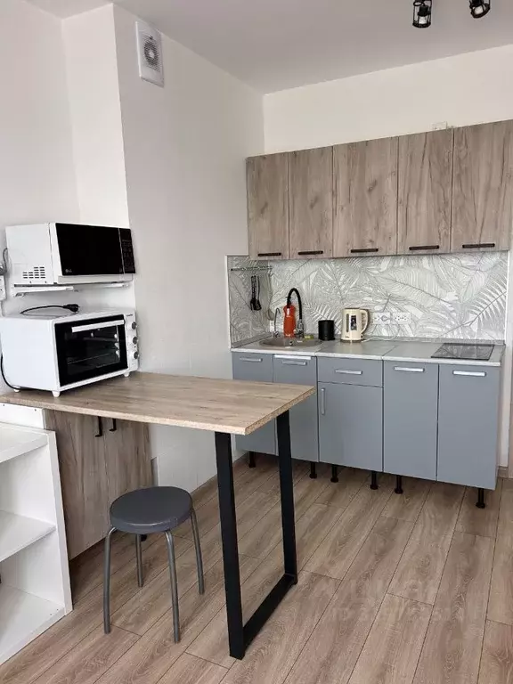 Студия Санкт-Петербург дор. Муринская, 25к1 (20.0 м) - Фото 1