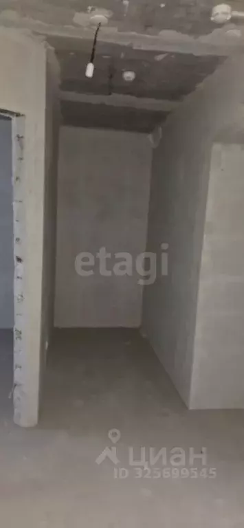 1-к кв. Амурская область, Благовещенский район, с. Чигири ул. ... - Фото 1