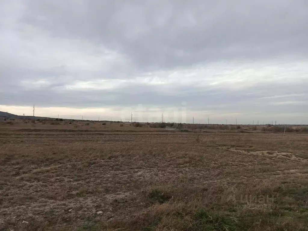 Участок в Крым, Кировский район, Абрикосовское с/пос, с. Кринички ул. ... - Фото 1