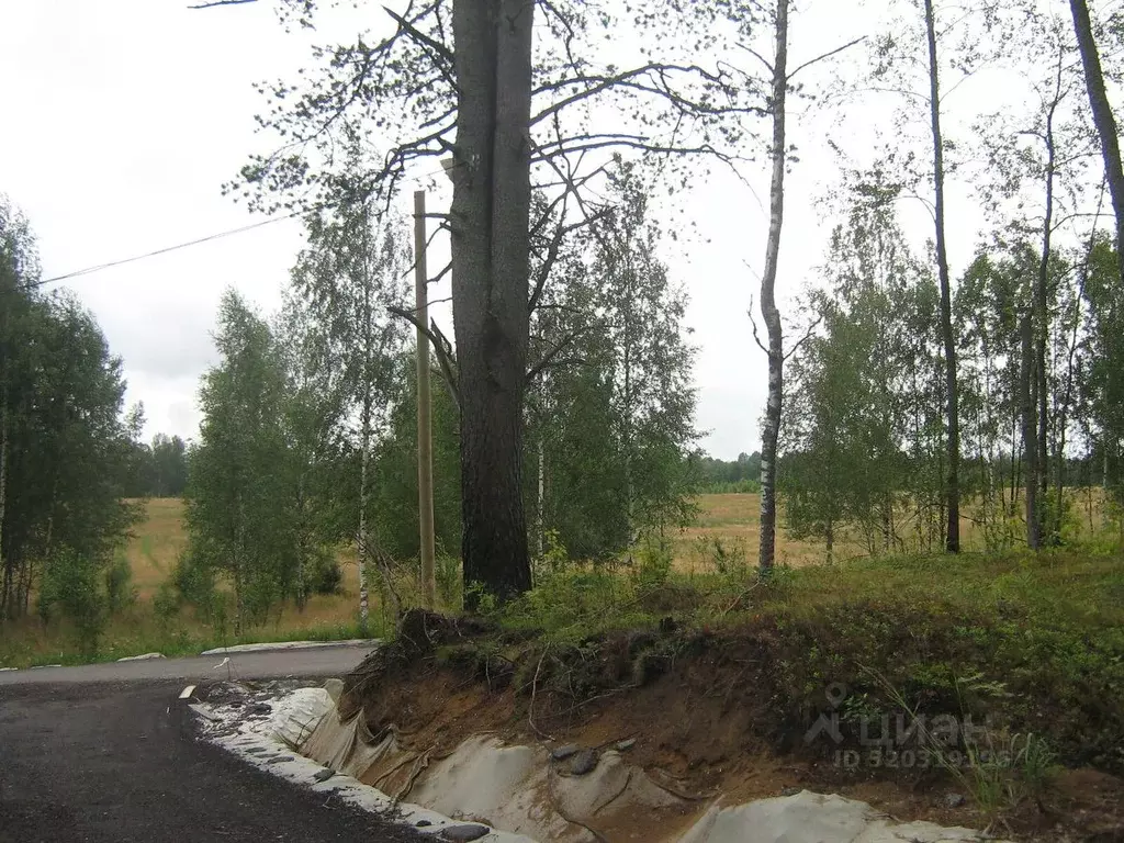 Участок в Ленинградская область, Всеволожский район, Куйвозовское ... - Фото 1