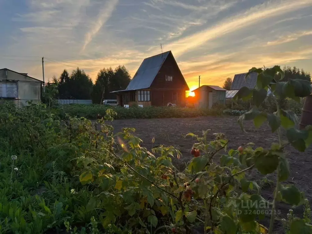 Дом в Новосибирская область, Тогучинский район, Сибирь СНТ 93 (64 м) - Фото 1