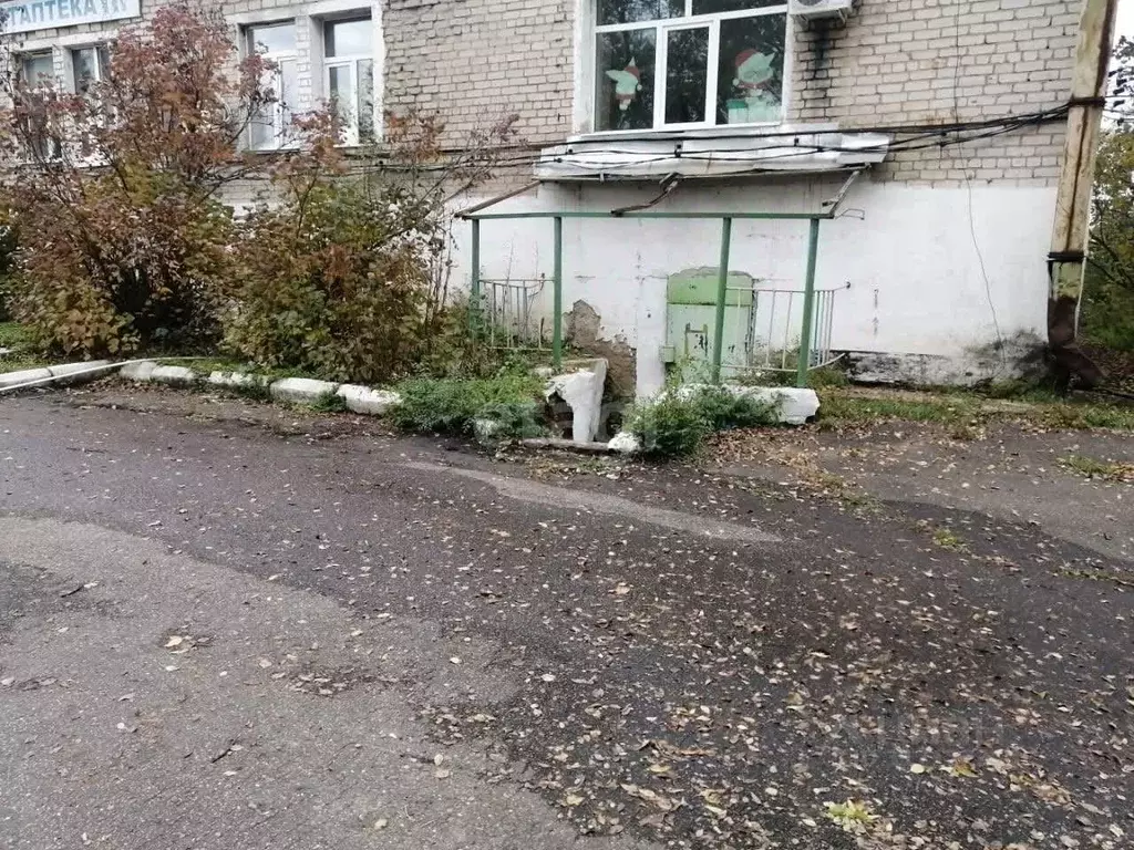 Помещение свободного назначения в Амурская область, с. Тамбовка ул. ... - Фото 1