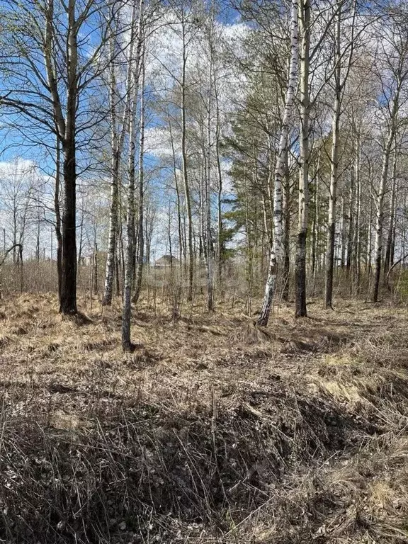 Участок в Тюменская область, Тюменский район, д. Зырянка  (10.5 сот.) - Фото 0