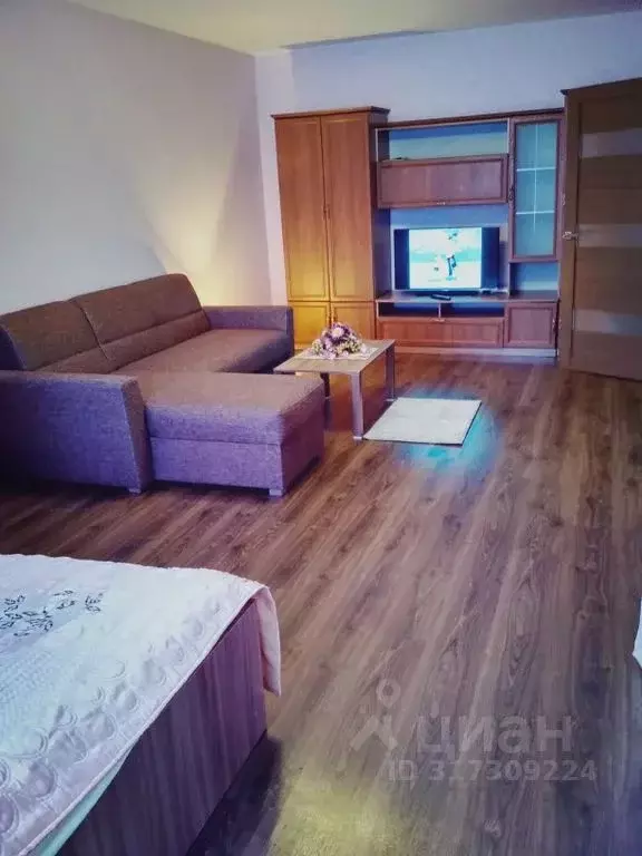 1-к кв. Псковская область, Псков Коммунальная ул., 15Б (53.0 м) - Фото 1