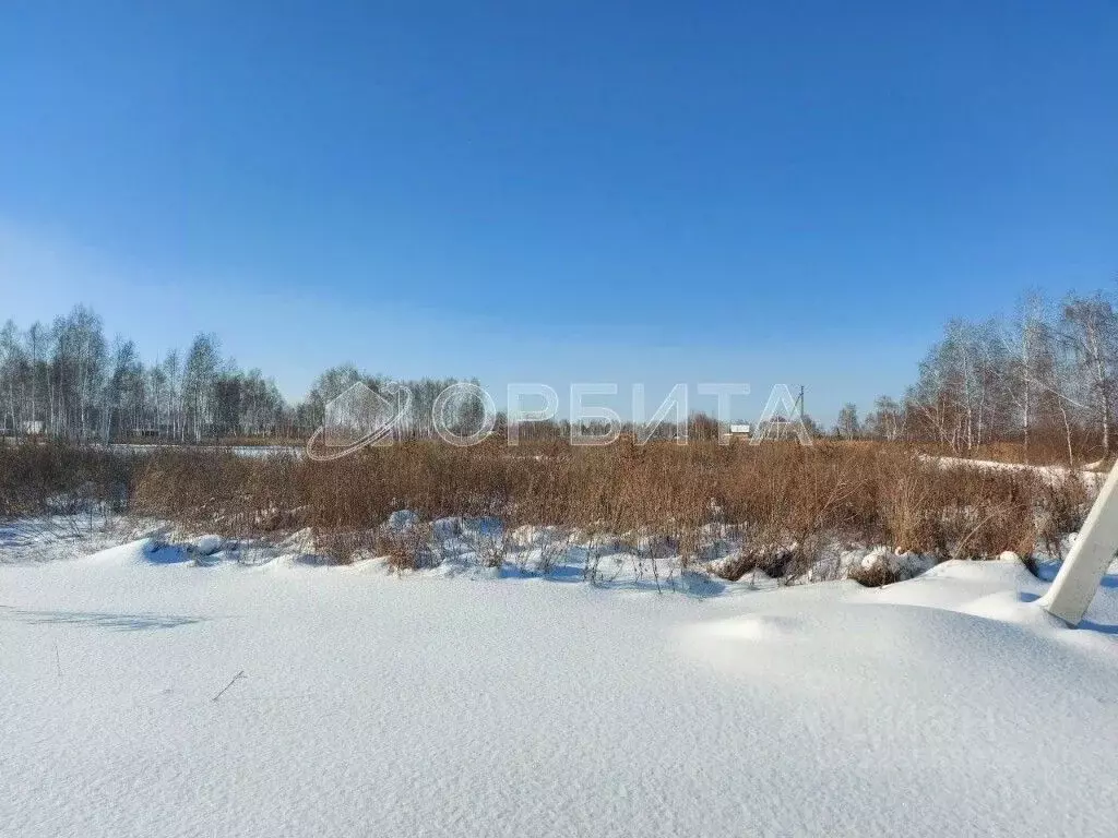 Участок в Тюменская область, Нижнетавдинский муниципальный округ, ... - Фото 1