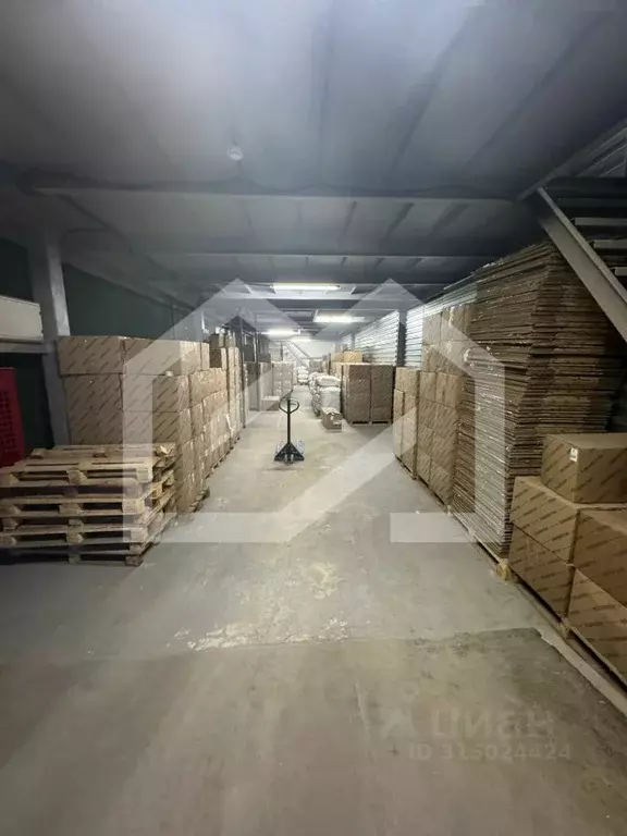 Склад в Московская область, Мытищи Олимпийский просп., 40к3 (850 м) - Фото 2