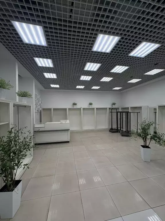 Торговая площадь в Санкт-Петербург ул. Ефимова, 3С (80 м) - Фото 1