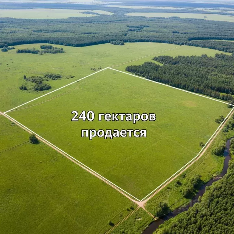 Участок в Пермский край, Ильинский муниципальный округ, д. Шаврята  ... - Фото 1