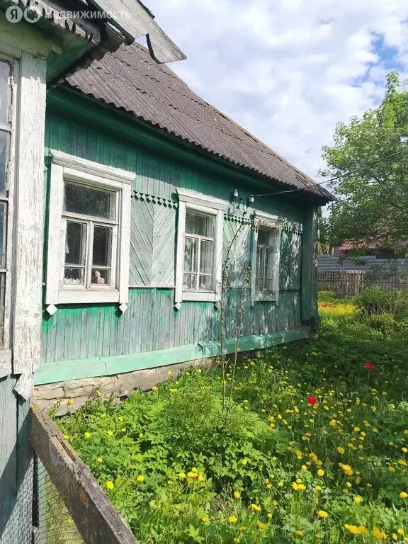 Дом в деревня Колтово, Центральная улица (47.2 м) - Фото 2