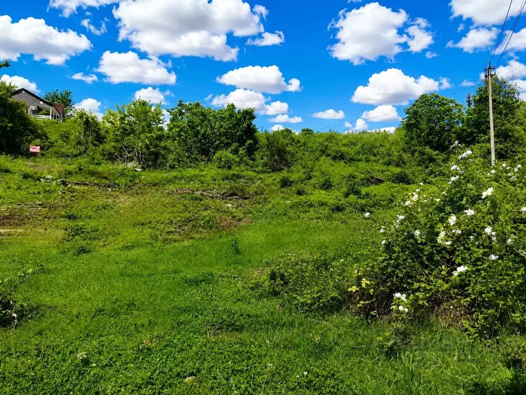 Участок в Краснодарский край, Сочи городской округ, с. Красная Воля  ... - Фото 2