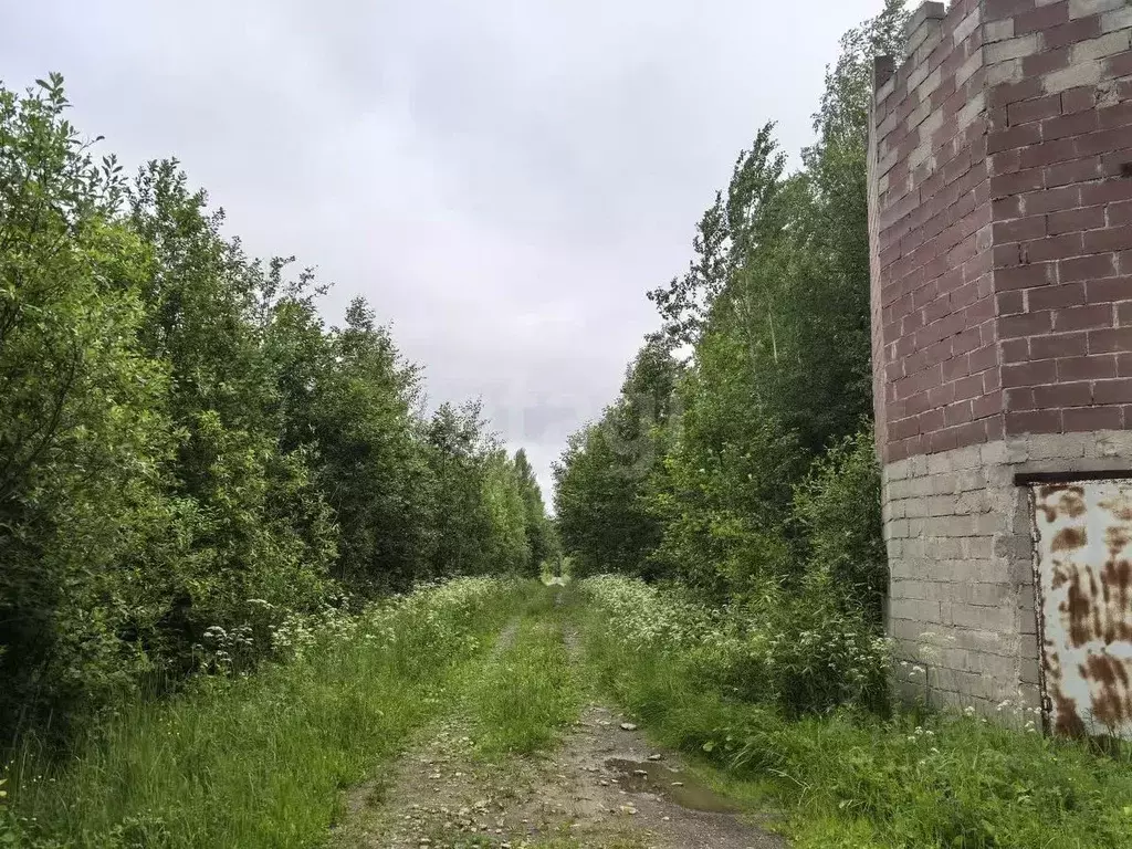 Участок в Вологодская область, Череповецкий район, Югское ... - Фото 1