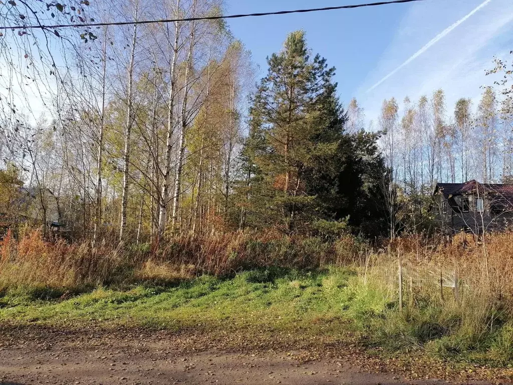 Участок в Ленинградская область, Кингисеппский район, пос. Усть-Луга, ... - Фото 2