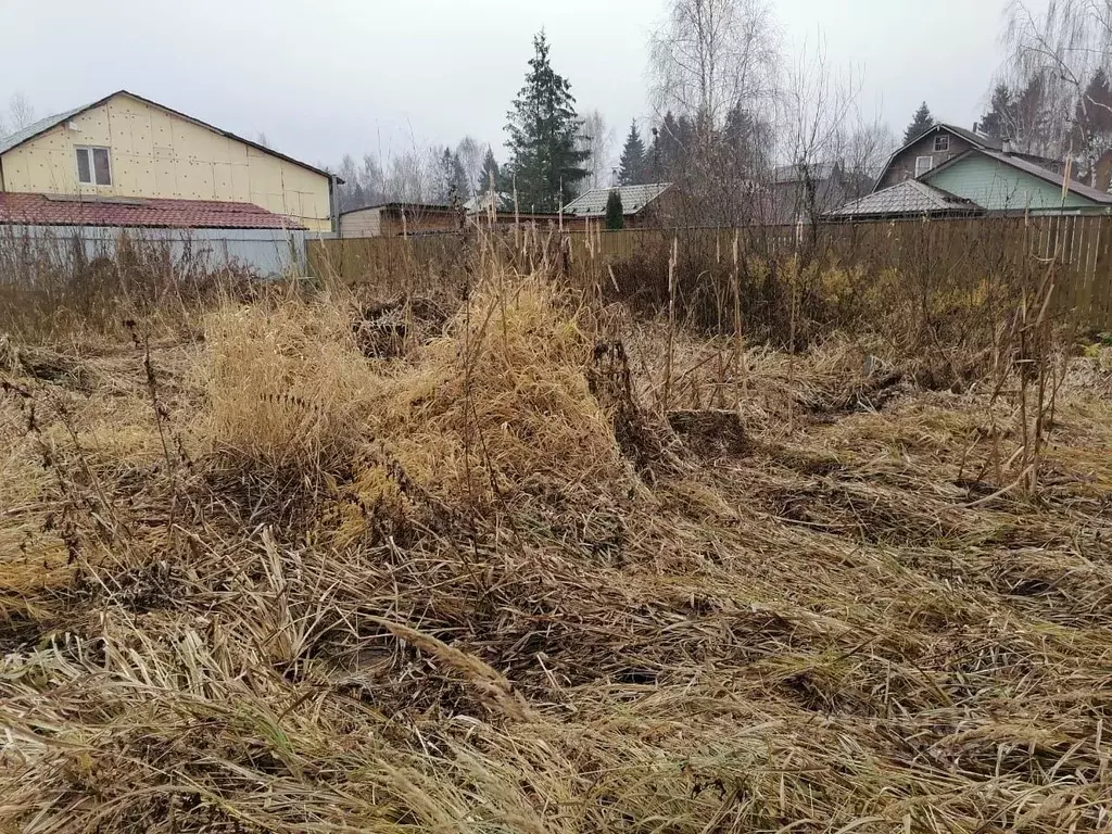 Участок в Московская область, Солнечногорск городской округ, Рассвет-1 ... - Фото 1