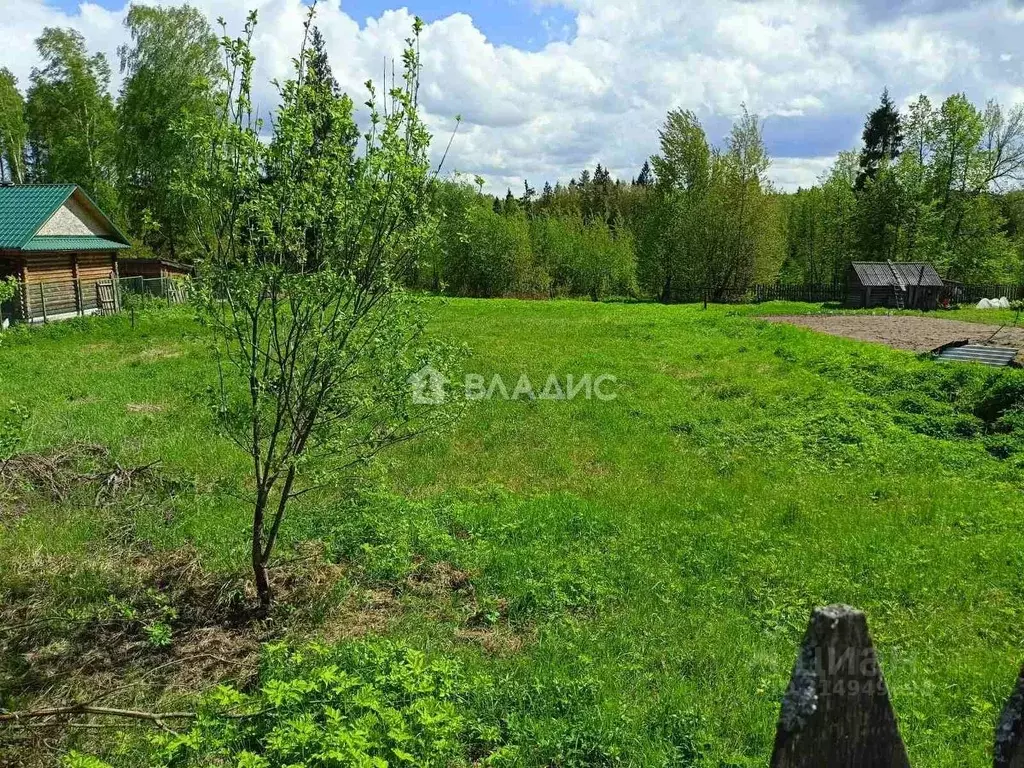 Участок в Нижегородская область, Вачский муниципальный округ, с. ... - Фото 1