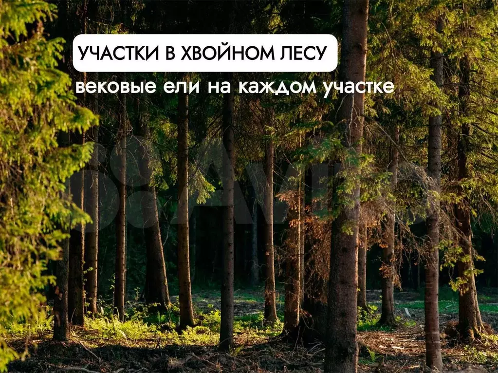 Участок 10 сот. (ИЖС) - Фото 0