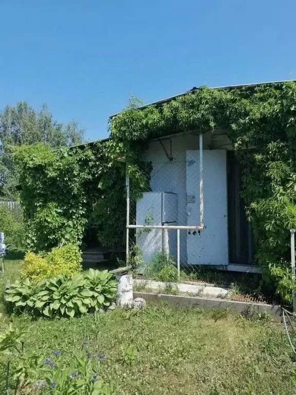 Дом в Новосибирская область, Бердск Вега-3 СНТ,  (15 м) - Фото 1