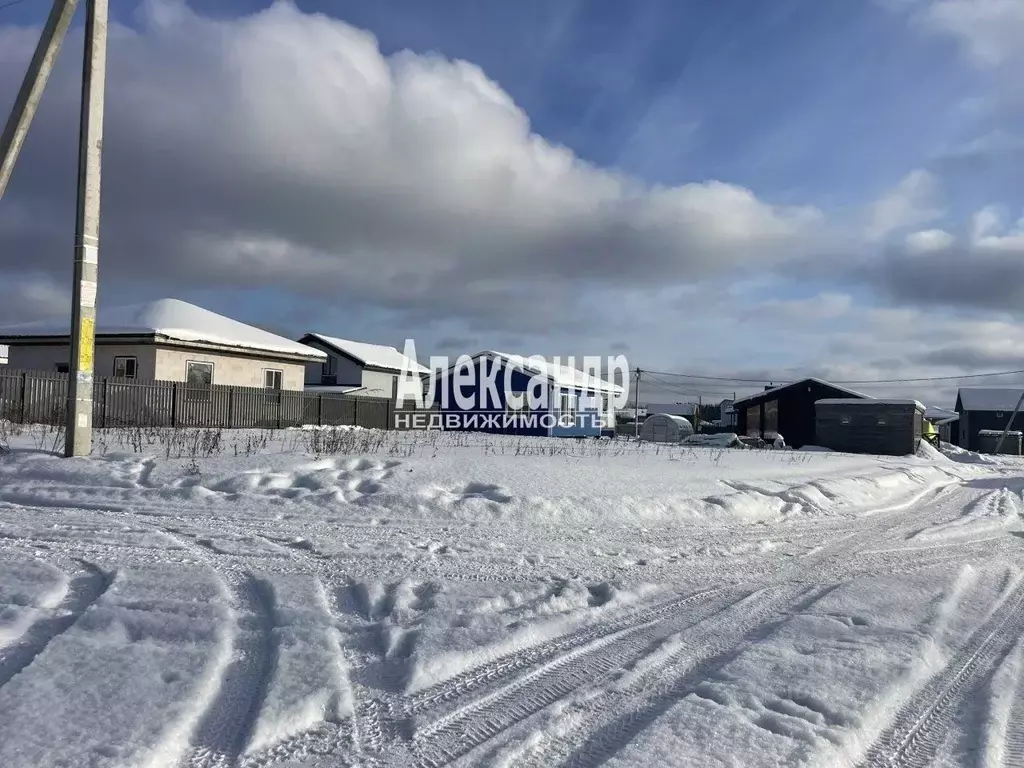 Участок в Ленинградская область, Тосненский район, Никольское ... - Фото 2