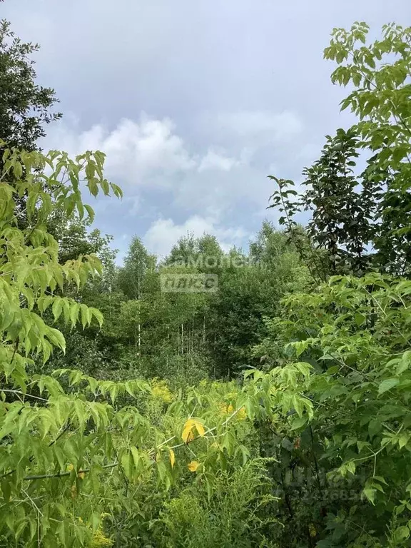 Участок в Нижегородская область, Бор муниципальный округ, д. Княжево 2 ... - Фото 1