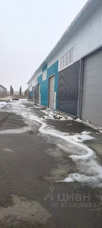 Склад в Алтайский край, Барнаул Звездная ул., 31Д (780 м) - Фото 2