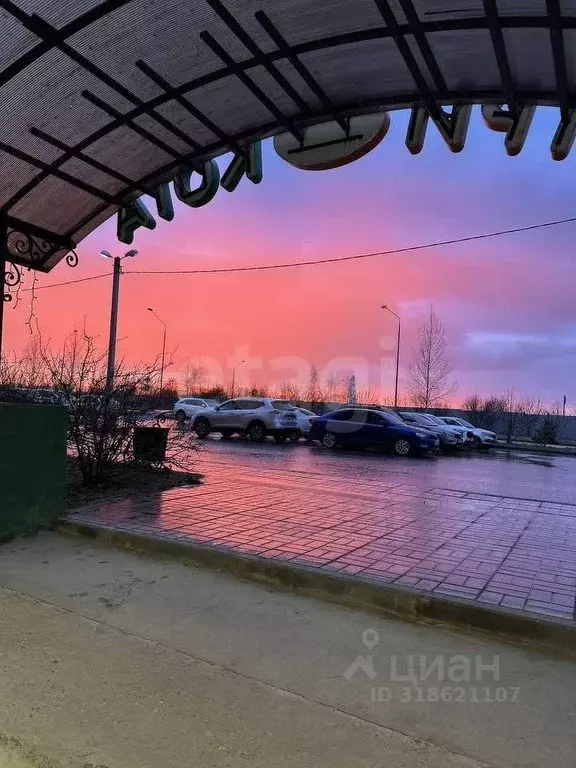 Помещение свободного назначения в Калужская область, Бабынинский ... - Фото 2