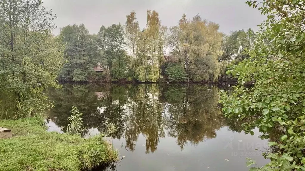 Участок в Московская область, Домодедово городской округ, д. Артемьево ... - Фото 2