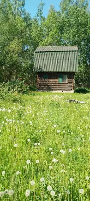 Дом в Московская область, Дмитровский городской округ, Агат СНТ  (38 ... - Фото 0