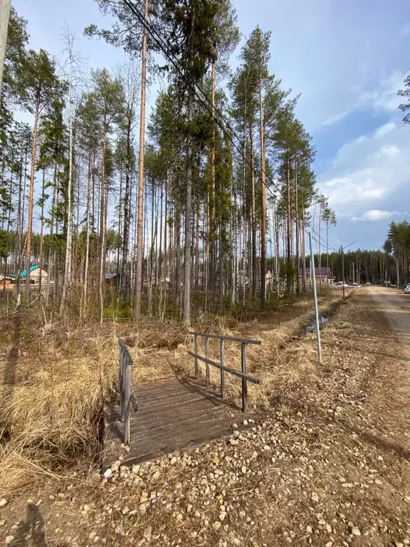 Участок в Коми, Сыктывкар городской округ, Краснозатонский пгт ул. ... - Фото 1