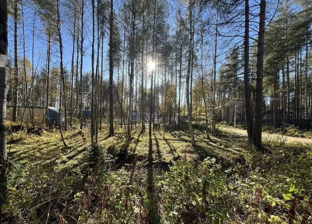 Участок в Ленинградская область, Всеволожское городское поселение, ... - Фото 1