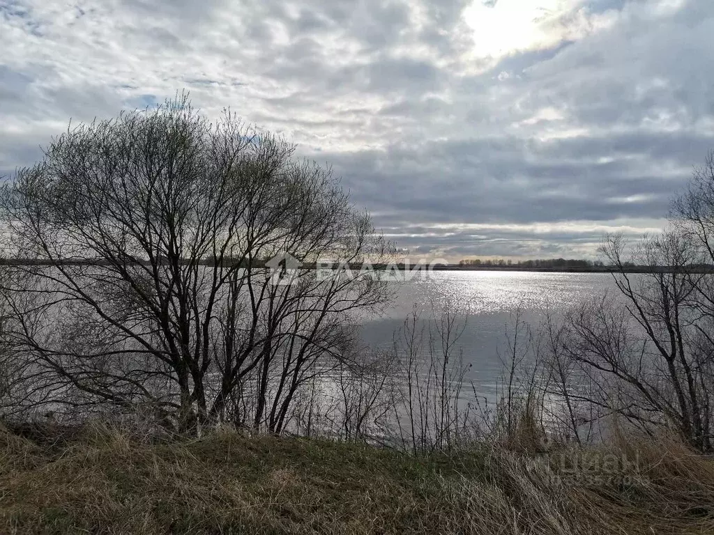 Участок в Московская область, Луховицы муниципальный округ, д. Гольный ... - Фото 2