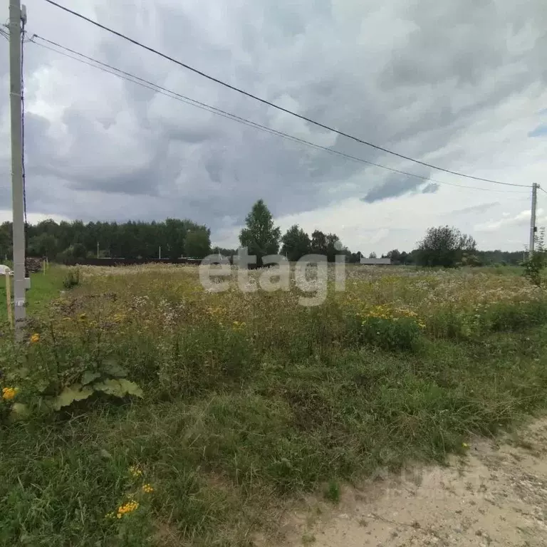 Участок в Костромская область, Нерехтский район, Волжское с/пос, д. ... - Фото 1