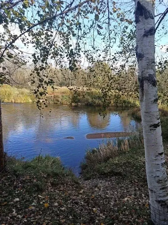 Дом в Ленинградская область, Лужский район, Толмачевское городское ... - Фото 1