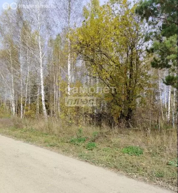 Участок в Новосибирский район, Барышевский сельсовет, посёлок Двуречье ... - Фото 1