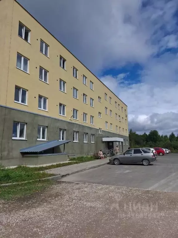 Студия Псковская область, Остров Больничная ул., 25 (27.0 м) - Фото 1