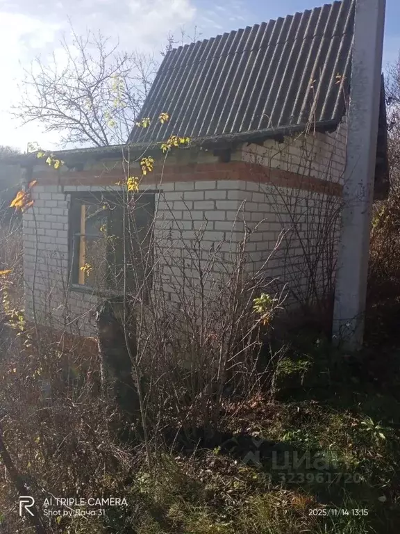 Дом в Белгородская область, Белгородский район, Северный городское ... - Фото 1