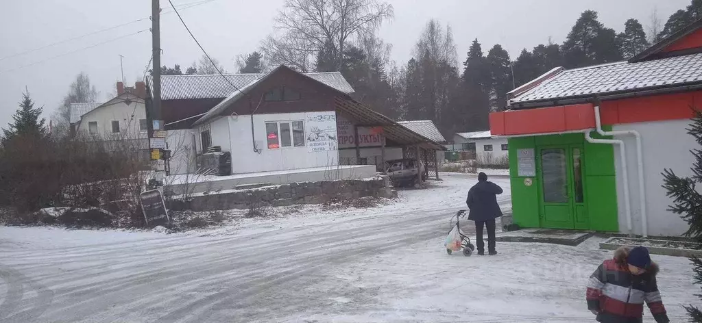 Помещение свободного назначения в Ленинградская область, Приозерский ... - Фото 0